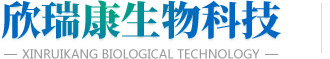 神巖網站
